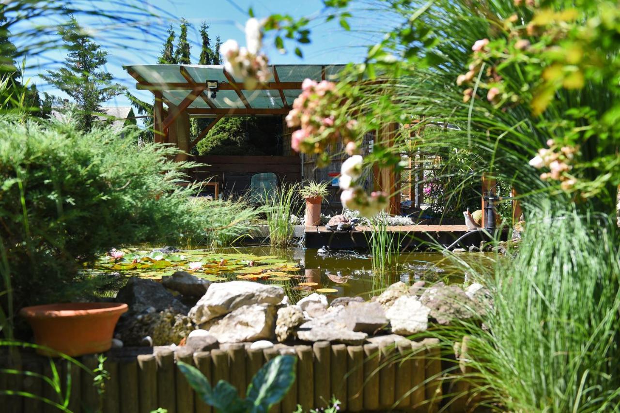 Anna Panzio Bed & Breakfast Herend Exterior photo